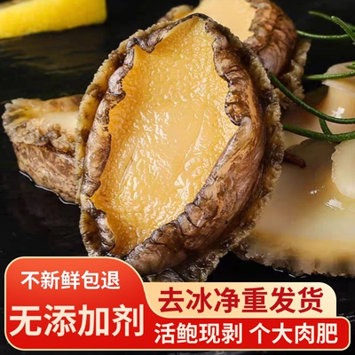 净重发货三去鲍鱼纯肉肉质Q弹
