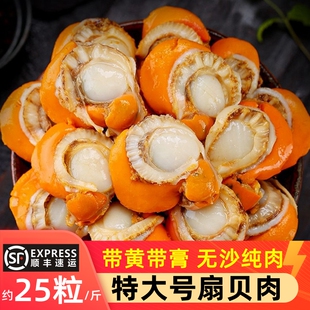 2030超大特大扇贝肉带黄带膏冷冻海鲜水产烧烤无冰红贝商用顺丰