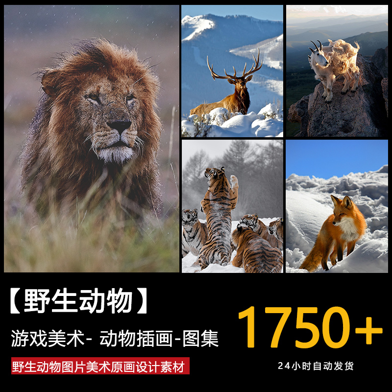 野生动物图片集 游戏美术原画设计参考模型素材 cg