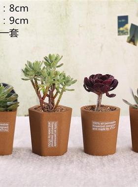 透气花盆0809会呼吸的XTOU多孔陶瓷小清新多肉度夏黑腐新奇