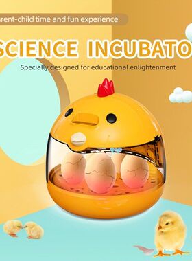 1 pack usb Powered Chick Incubator with Transparent Viewing