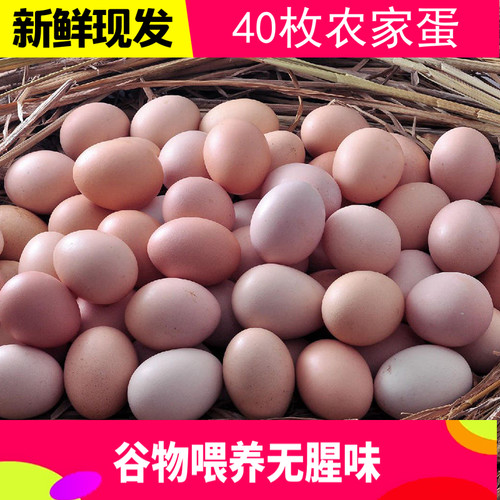 新鲜农家土鸡蛋40枚散养土鸡蛋放养走地鸡笨草鸡蛋初产蛋牢固包装-封面