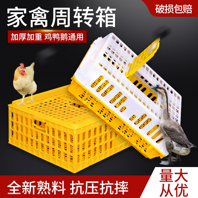 鸡笼运输笼塑料家禽周转箱筐成小鸡鸭鹅鸽子笼兔笼家用养殖鸡笼子