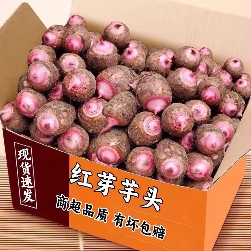 广西红芽芋头新鲜小香芋软糯槟榔毛芋头现挖红芽芋仔