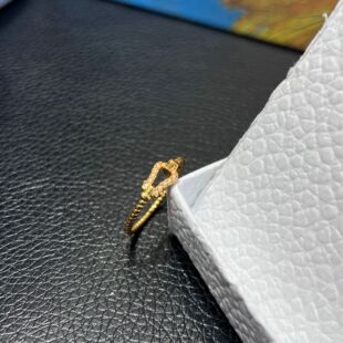 18k金马蹄扣戒指au750彩金爆闪麻花指环时尚轻奢高级感百搭食指戒