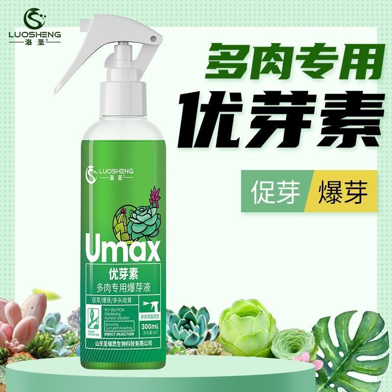 多肉植物促芽爆芽增色增肥植物通用催芽发芽素营养液