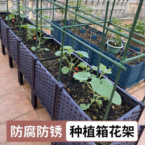 种植箱爬藤架阳台种菜架子