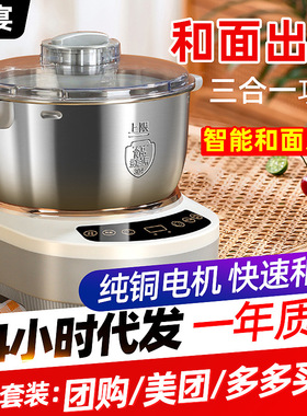 110v伏和面机小型家用揉面机全自动不锈钢面粉搅拌机面包机欧规英