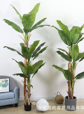 芭蕉树仿真植物大型绿植假盆栽室内装饰落地盆景客厅仿真 香蕉树