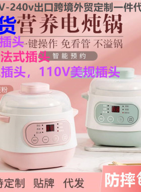 110V-240V跨境出口贸易养生锅电炖锅煮粥燕窝煲汤陶瓷隔水电炖盅