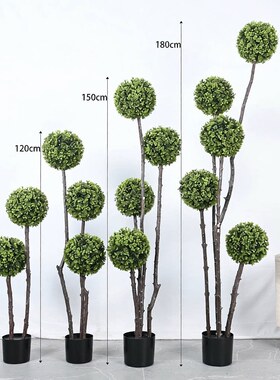 110v220v热门仿真绿植室内装饰盆栽橱窗摆件女贞米兰草球球形植物