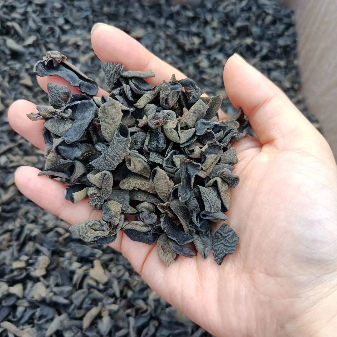 东北黑木耳干货秋木耳碎木耳碎片小朵包饺子剁馅用散装黑木耳