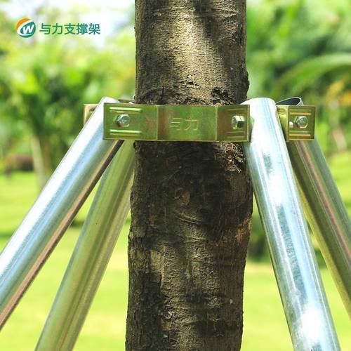钢管大树树木固定支撑架支架苗木支撑镀锌绿化支撑杆防风固定器