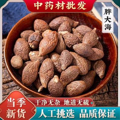胖大海500g正品泡水润喉茶咽清另售特级散装菊花金银花罗汉果甘草