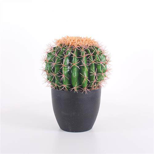 热带植物造景PU杆仙人柱盆栽大型仿真仙人掌沙漠植物装饰量天尺