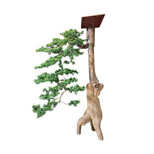 室内外装饰树造景观树实木仿真树门庭造景设计玄关公园大型仿真树