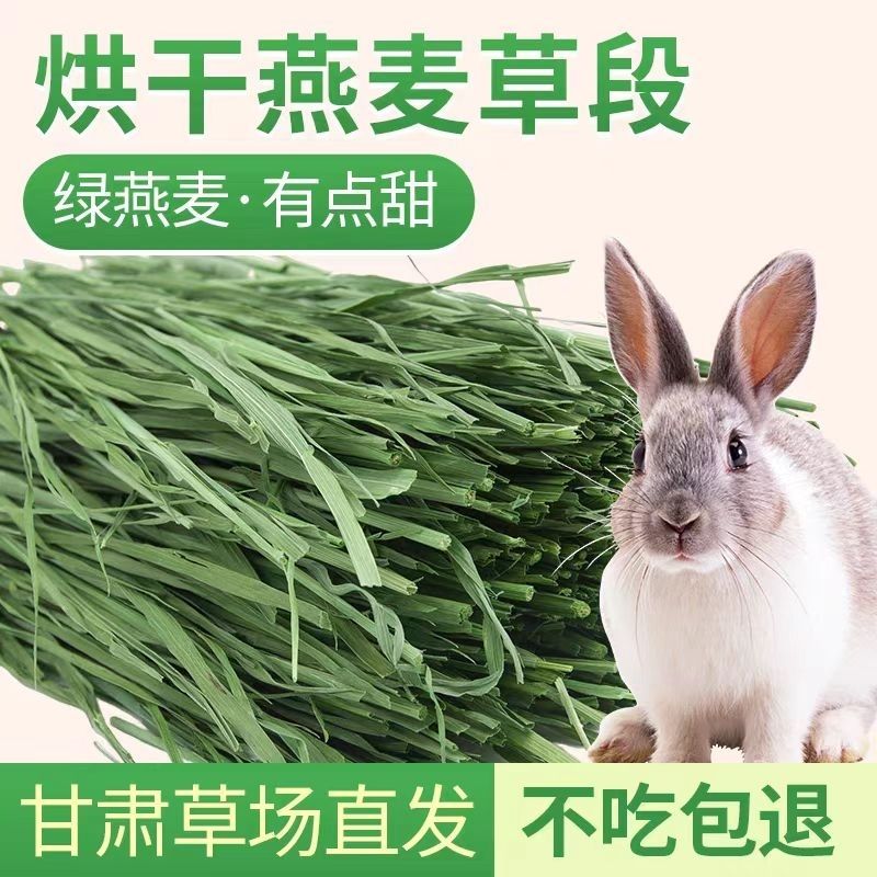 头茬烘干精品高纤维燕麦草荷兰猪粮食宠物草