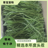 高品质兔粮烘干兔粮主食多叶少杆提摩西头茬荷兰猪豚鼠小宠物