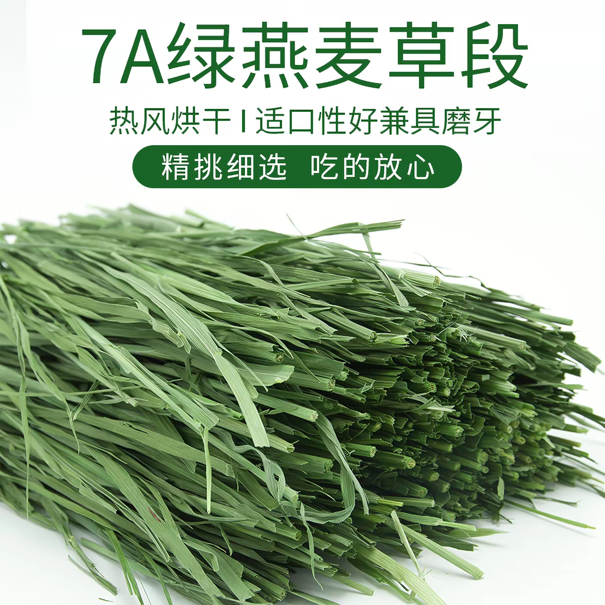 挑食就选兔草荷兰猪豚鼠龙猫饲料烘干燕麦草晒干燕麦小宠