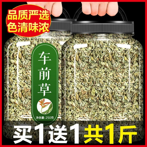 车前草中药材500g袋泡茶泡水喝