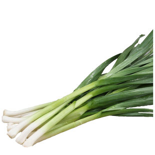 四川农家大蒜苗新鲜应季蔬菜现摘红皮根香蒜苗梗露天种植青蒜苗叶