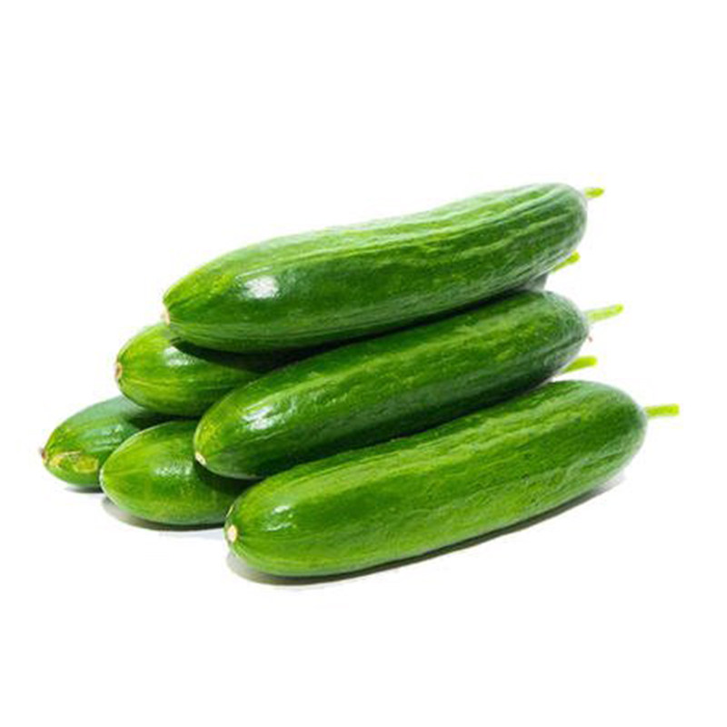 3�� ˮ���ƹ�3���ַ�����