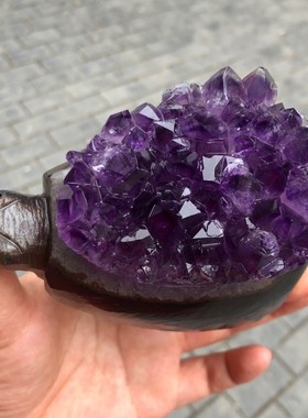 2026天然巴西紫水晶簇摆件 做工精细 雕刻乌龟刺猬