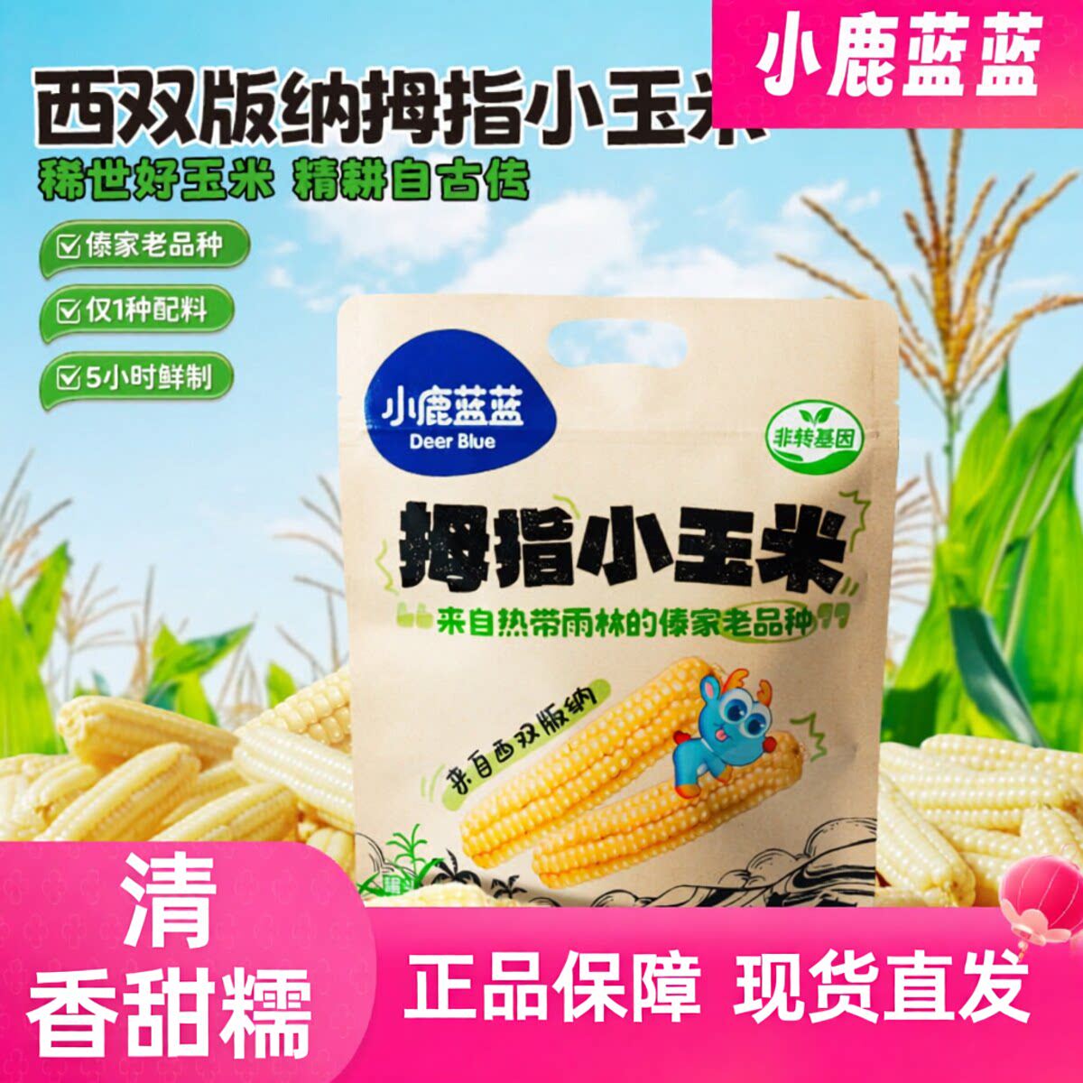 小鹿蓝蓝拇指小玉米新鲜手指糯玉米早餐黄金甜玉米休闲零食