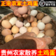 贵州农家散养土鸡蛋新鲜月子鸡蛋乌鸡绿壳土鸡鸡蛋30枚顺丰 包邮