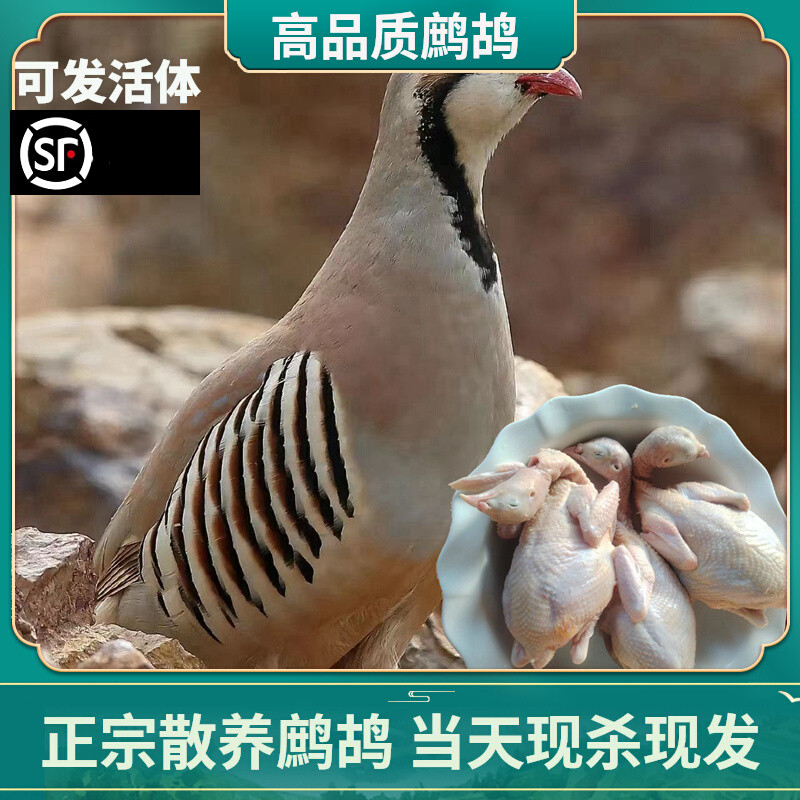 鹧鸪鸟食用新鲜石鸡现杀飞龙农家散养鸟肉嘎嘎鸡滋补真空包装包邮,水产肉类/新鲜蔬果/熟食,其它生肉制品,淘宝优惠券,粉丝福利购,淘宝优惠卷