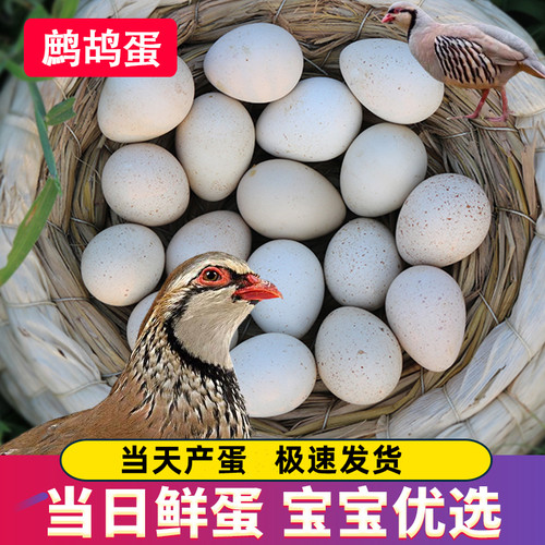 鹧鸪蛋30枚新鲜食用蛋农家飞龙蛋营养辅食鸟蛋非鸽子蛋非受精蛋
