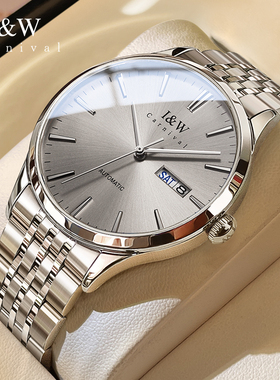 IW正品爱沃驰机械手表男款机械表全自动防水简约品牌新款十大