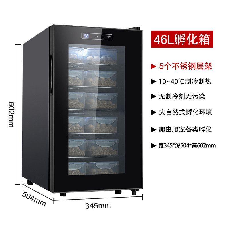 厂家直销恒温孵化箱爬宠孵化柜乌龟蜥蜴蛇蛋孵化器小型静音孵化机