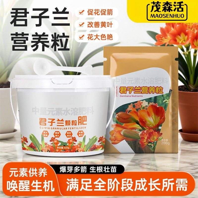 【君子兰专用肥】营养粒抽箭促花叶片光泽颗粒缓释营养颗粒有机肥,农用物资,新型肥料,淘宝优惠券,粉丝福利购,淘宝优惠卷