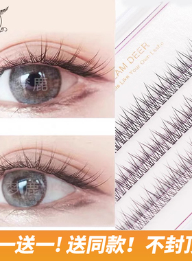 梦鹿送胶水女假眼睫毛鱼尾朵毛自嫁接单簇分段小恶魔仙子美睫单根