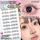 韩系2026热卖 梦鹿短款 ACE假睫毛免胶懒人自然仿真分段式 女团新手