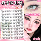 眼睫毛2026新款 梦鹿野生狐胶水款 假睫毛自然上镜清透毛流感新中式