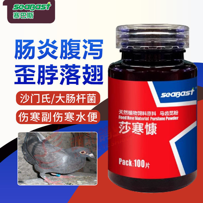 德国赛巴斯鸽用伤寒康停沙门氏大肠杆菌副伤寒水绿便非鸽子药大全