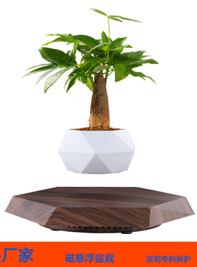 磁悬浮盆栽花盆悬浮花磁悬浮植物家居装饰摆件一件代发源头厂家