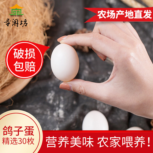 精选鸽子蛋新鲜30孕妇农家散养