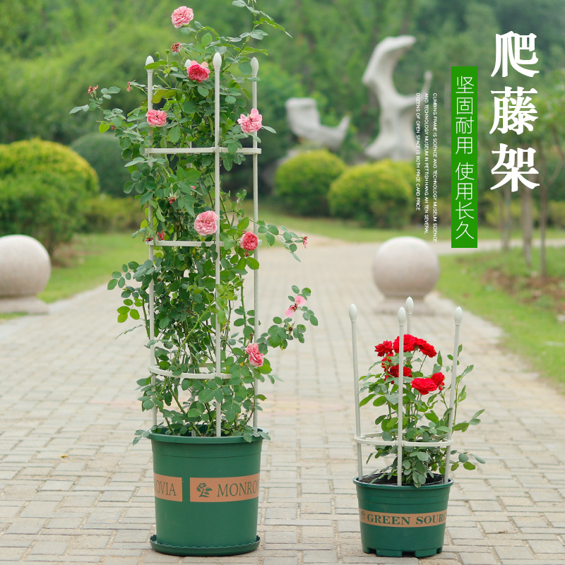 爬藤架月季花架支架植物玫瑰架子铁线莲攀爬花盆支架阳台支撑架