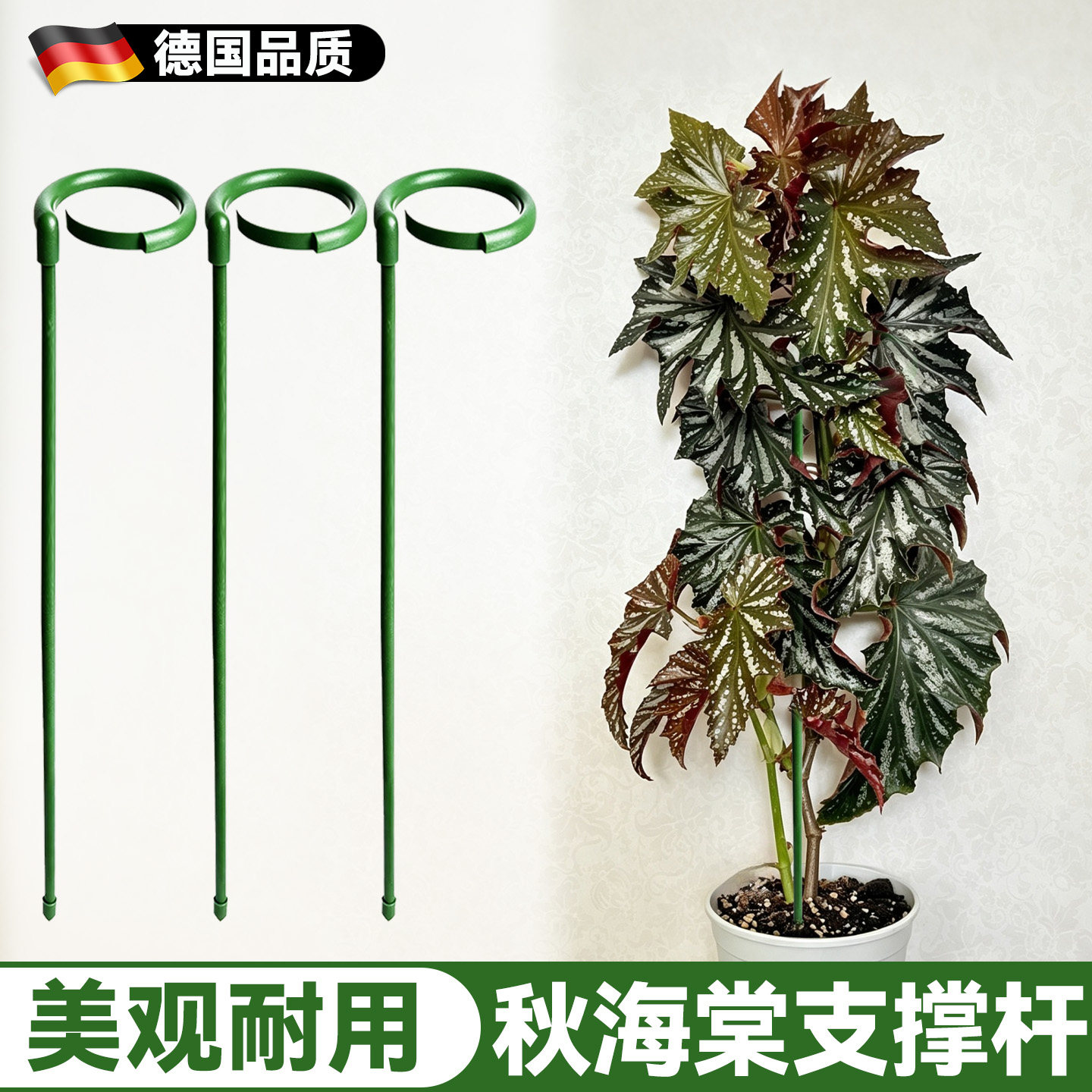 秋海棠支撑杆花卉支撑架花架图片