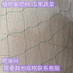 攀爬网蔬菜瓜果爬藤网花卉蔷薇攀爬网月季玫瑰爬藤黄瓜丝瓜攀爬网