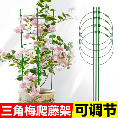 三角梅造型支架植物爬藤架
