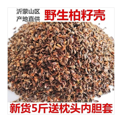 柏壳子枕头助眠保健枕
