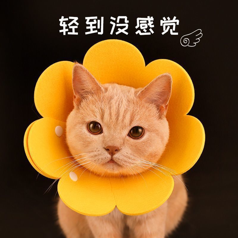 伊丽莎白圈猫咪绝育防舔颈圈头套宠物新品狗狗脖圈伊利沙白圈实用