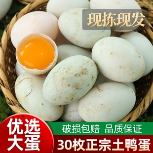 鄱阳湖生鸭蛋新鲜农家鸭蛋江西散养现拣现发青皮白皮30枚60-69g