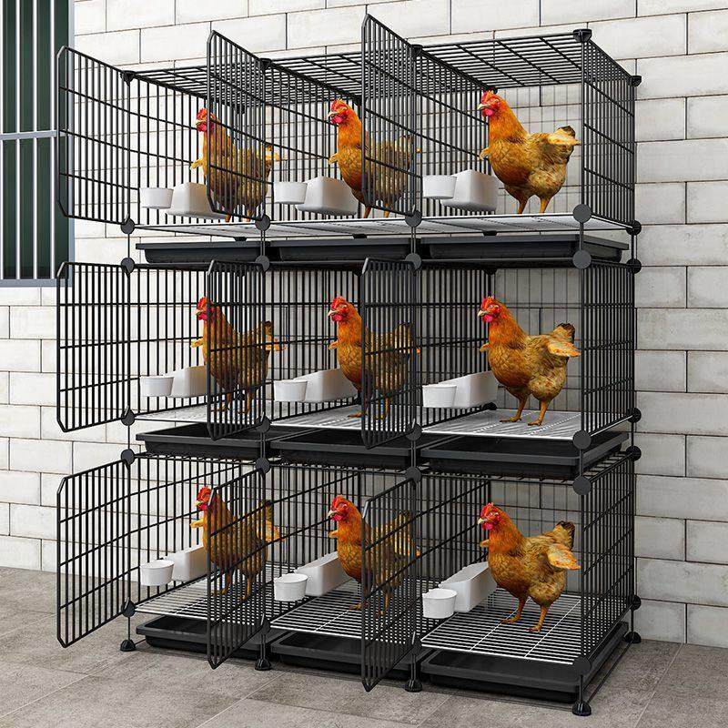 鸡笼子家用室外大号自动清粪养鸡笼鸭笼子室内小鸡鸽子笼子鸡窝笼