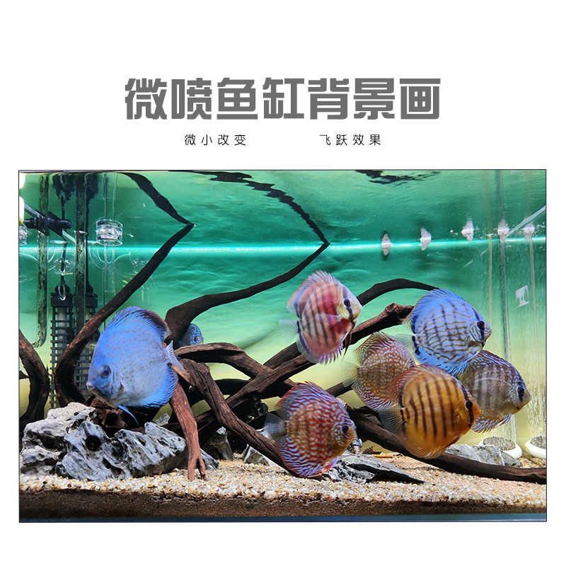 鱼缸背景贴纸定制草缸背景纸蓝白渐变背景画任意颜色尺寸静电贴