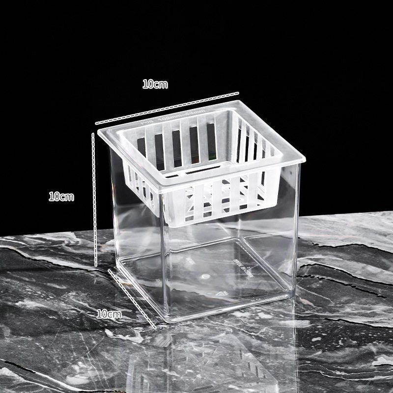 甜猫软晴 客厅桌面斗鱼缸方形植物水培观赏生态瓶微景观透明鱼缸